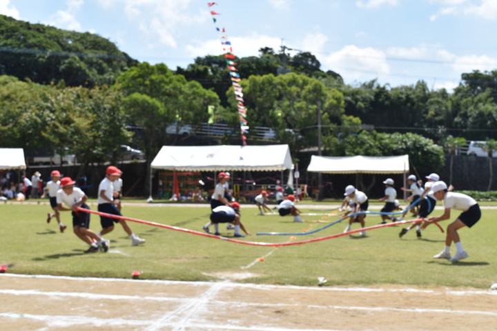 Dsc_0556 Dsc_0556