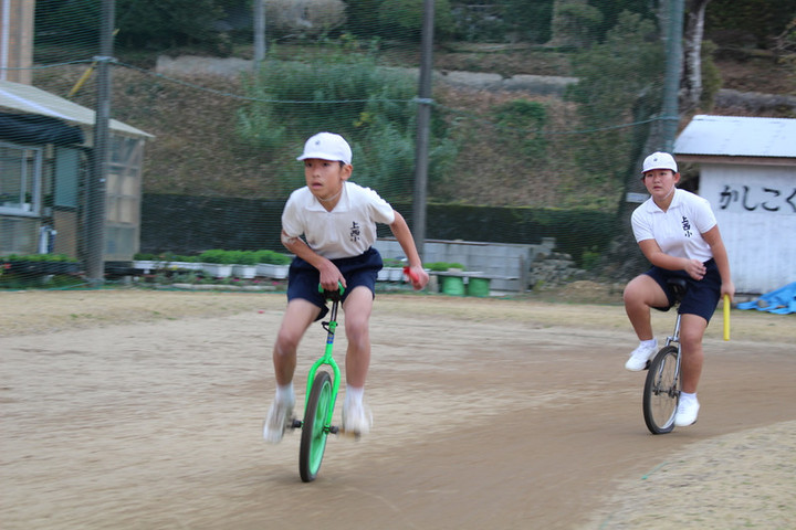 Img_1164 Img_1164