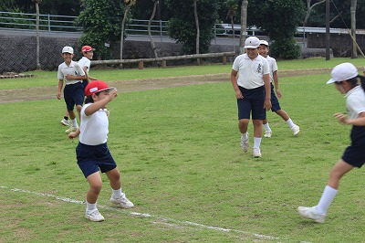 Img_7838 Img_7838
