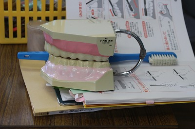 Img_7855 Img_7855