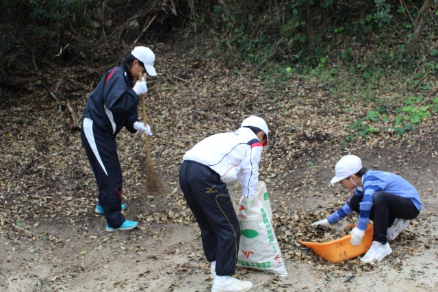 S_img_0466 S_img_0466